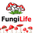 fungilife24